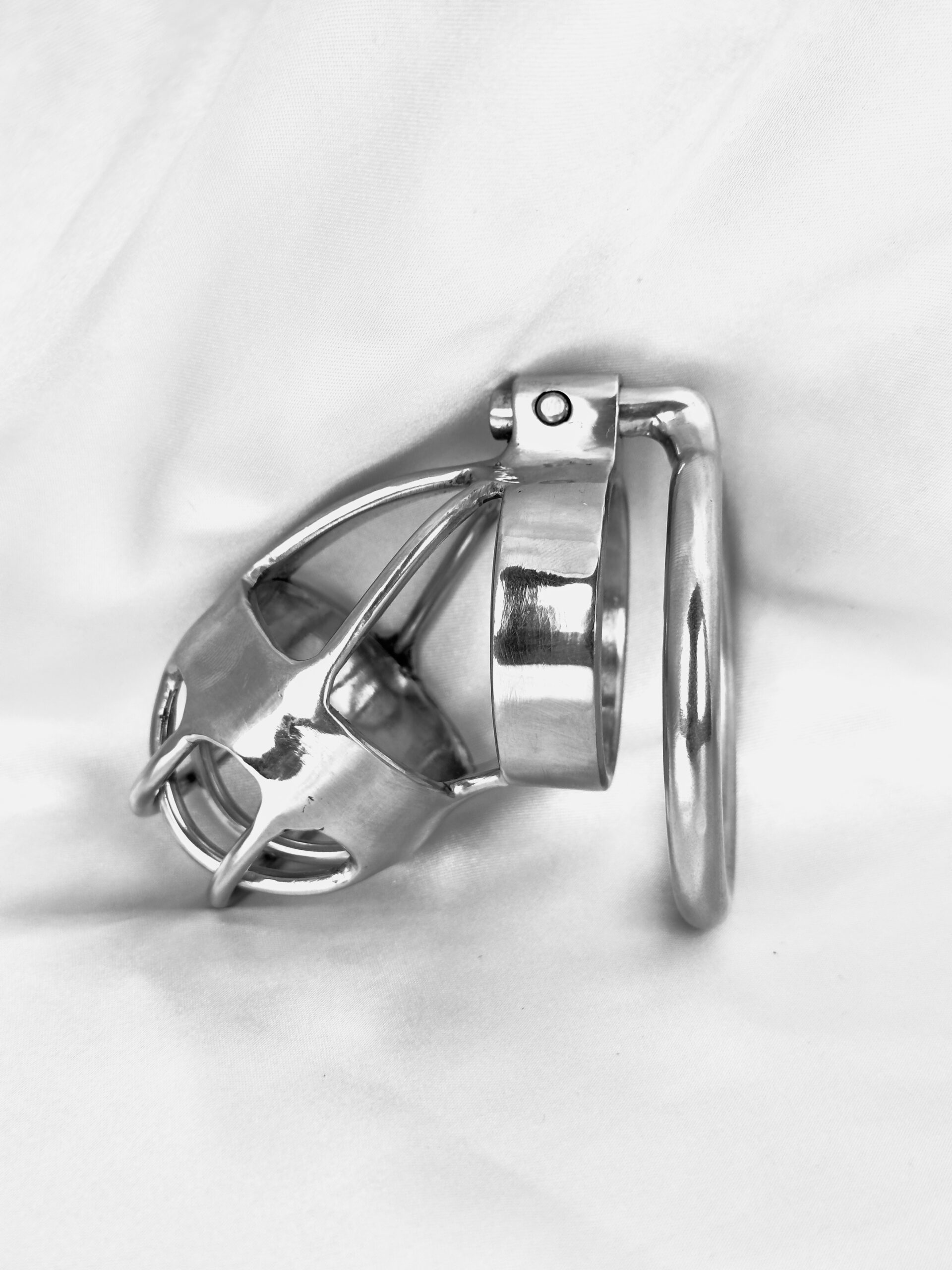 Customizable Spiked Chastity Cage For Punishment