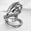 Watchful Mistress - Image 4