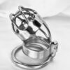 Watchful Mistress - Image 5